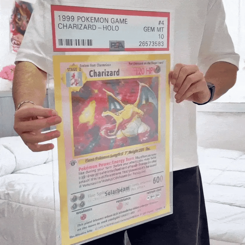 Poster Relief 3D - Dracaufeu | Florizard | Tortank